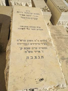 תמונת מצבה