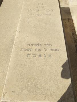 תמונת מצבה