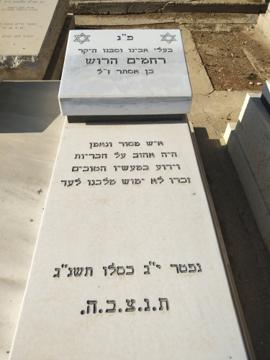 תמונת מצבה