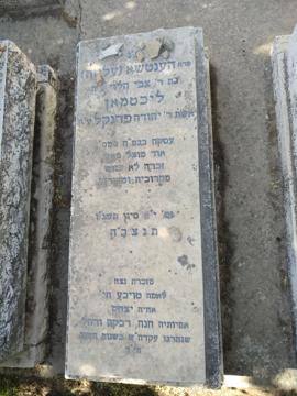 תמונת מצבה