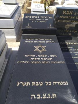 תמונת מצבה