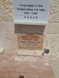תמונת מצבה