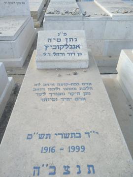 תמונת מצבה