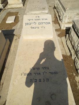תמונת מצבה