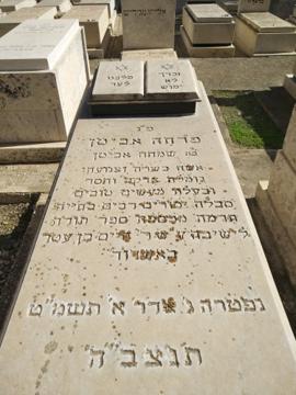תמונת מצבה