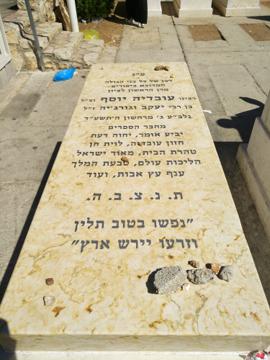 תמונת מצבה