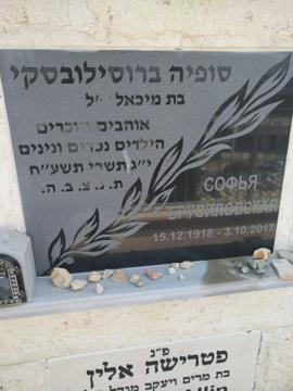 תמונת מצבה
