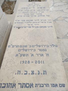 תמונת מצבה