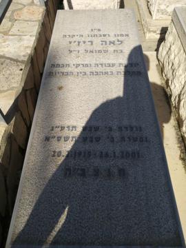 תמונת מצבה