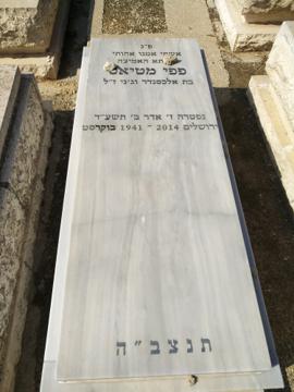 תמונת מצבה