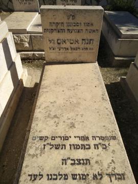 תמונת מצבה