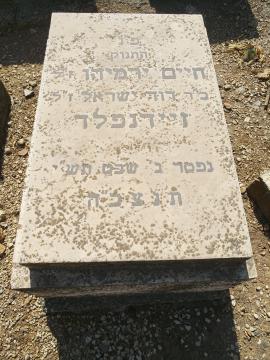 תמונת מצבה