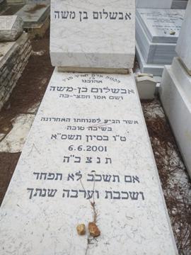 תמונת מצבה
