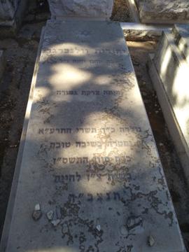 תמונת מצבה