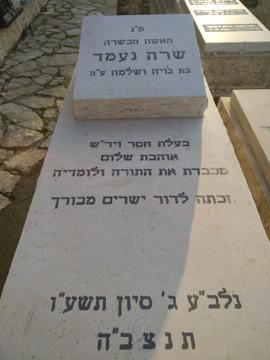 תמונת מצבה