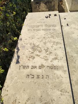 תמונת מצבה
