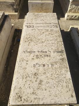 תמונת מצבה