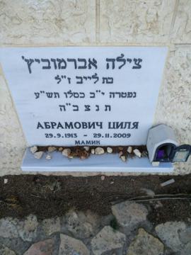 תמונת מצבה