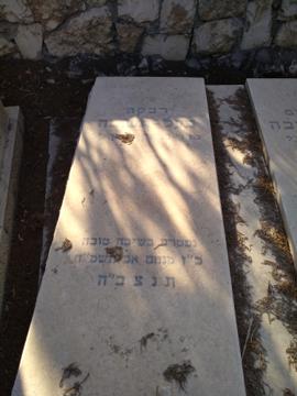 תמונת מצבה