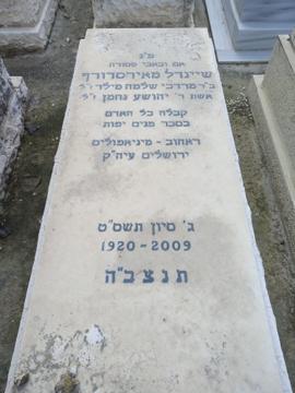 תמונת מצבה