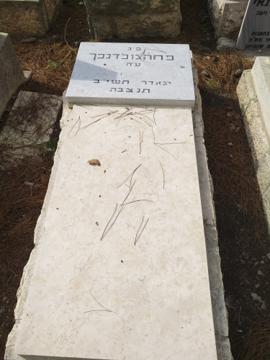 תמונת מצבה