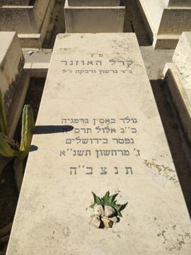 תמונת מצבה