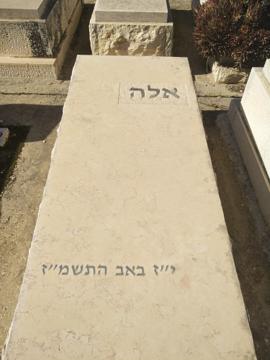 תמונת מצבה