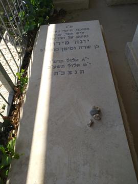 תמונת מצבה