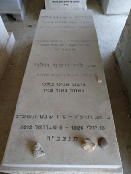 תמונת מצבה