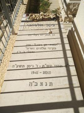 תמונת מצבה