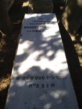 תמונת מצבה
