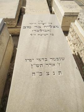 תמונת מצבה