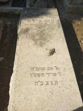 תמונת מצבה