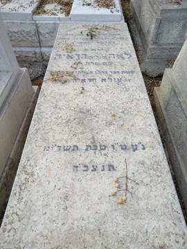 תמונת מצבה