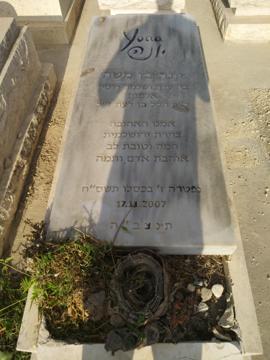 תמונת מצבה
