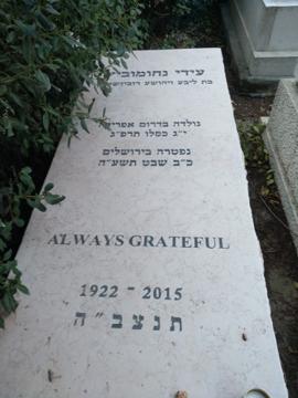 תמונת מצבה