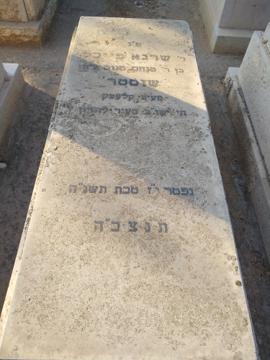תמונת מצבה