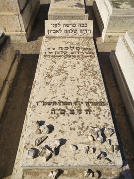 תמונת מצבה