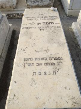 תמונת מצבה