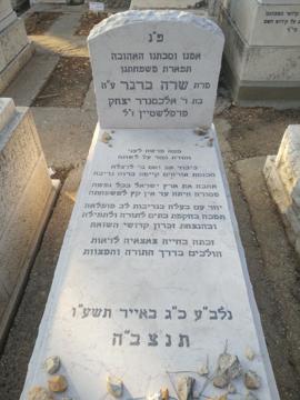 תמונת מצבה