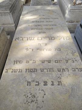 תמונת מצבה