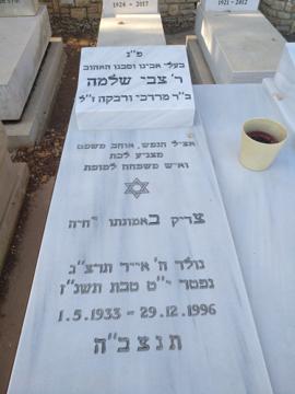 תמונת מצבה