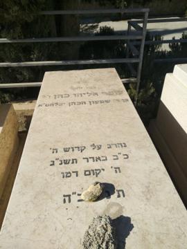 תמונת מצבה
