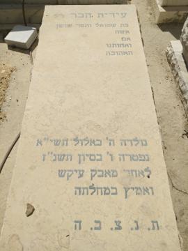 תמונת מצבה