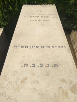 תמונת מצבה