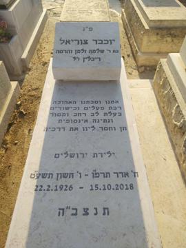 תמונת מצבה