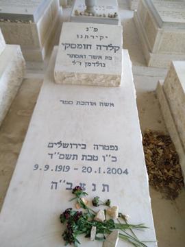 תמונת מצבה