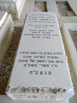 תמונת מצבה
