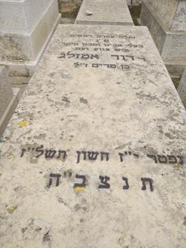 תמונת מצבה