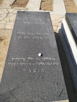 תמונת מצבה